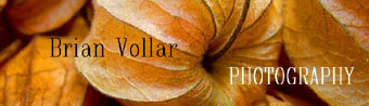 Brian Vollar Photography 
